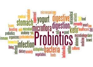 Probiootikumid mõjutavad positiivselt seedimist, naha tervist ning aju ja kesknärvisüsteemi tegevust.